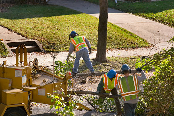 Best Aeration Services  in Gettysburg, PA